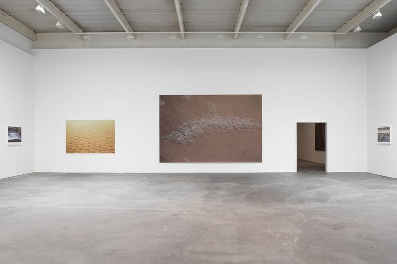wolfgang david zwirner exhibition gallery show art artwork photography photographs visuals portraits