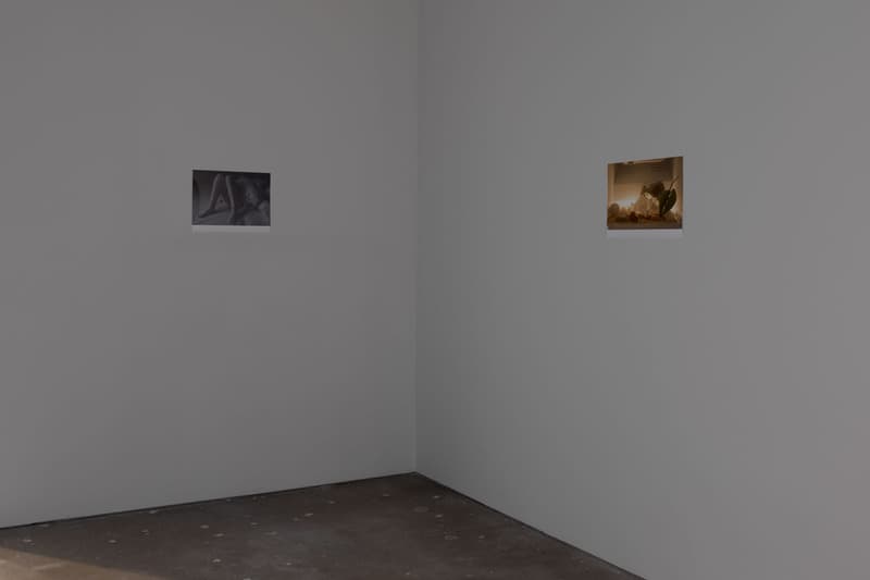 wolfgang david zwirner exhibition gallery show art artwork photography photographs visuals portraits