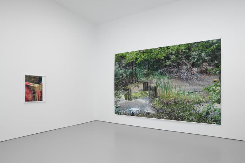 wolfgang david zwirner exhibition gallery show art artwork photography photographs visuals portraits