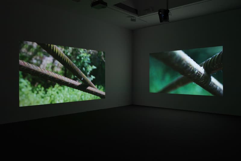 wolfgang david zwirner exhibition gallery show art artwork photography photographs visuals portraits
