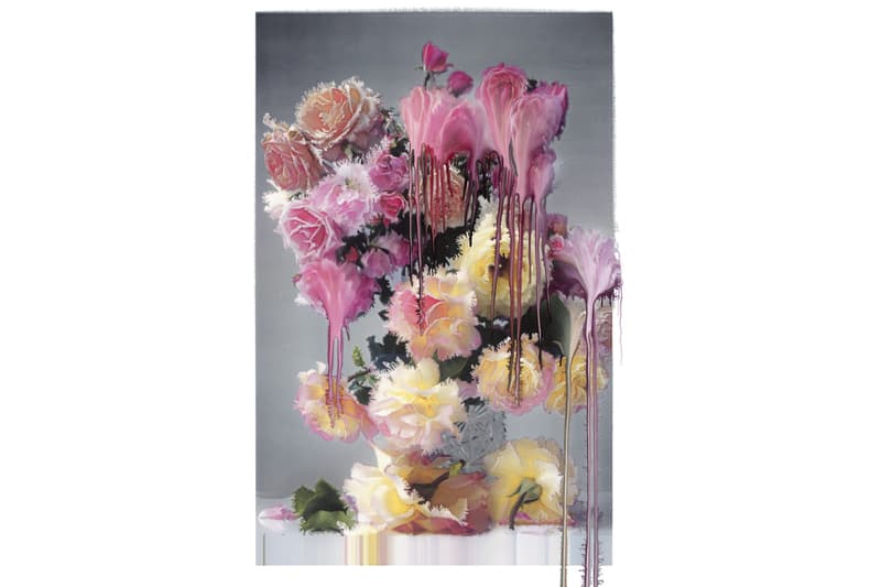 Nick Knight 'Still' Exhibition The Mass Tokyo art Flora, Roses, Photo Paintings, and Roses from My Garden date japan