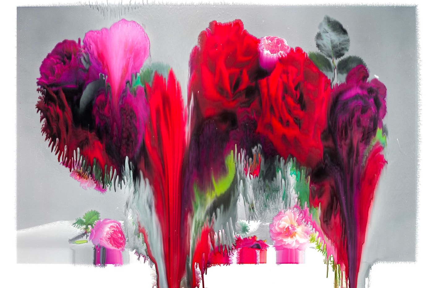 Nick Knight 'Still' Exhibition The Mass Tokyo art Flora, Roses, Photo Paintings, and Roses from My Garden date japan