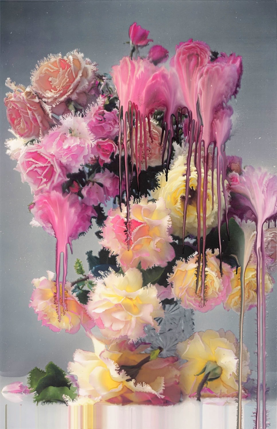 Nick Knight 'Still' Exhibition The Mass Tokyo art Flora, Roses, Photo Paintings, and Roses from My Garden date japan