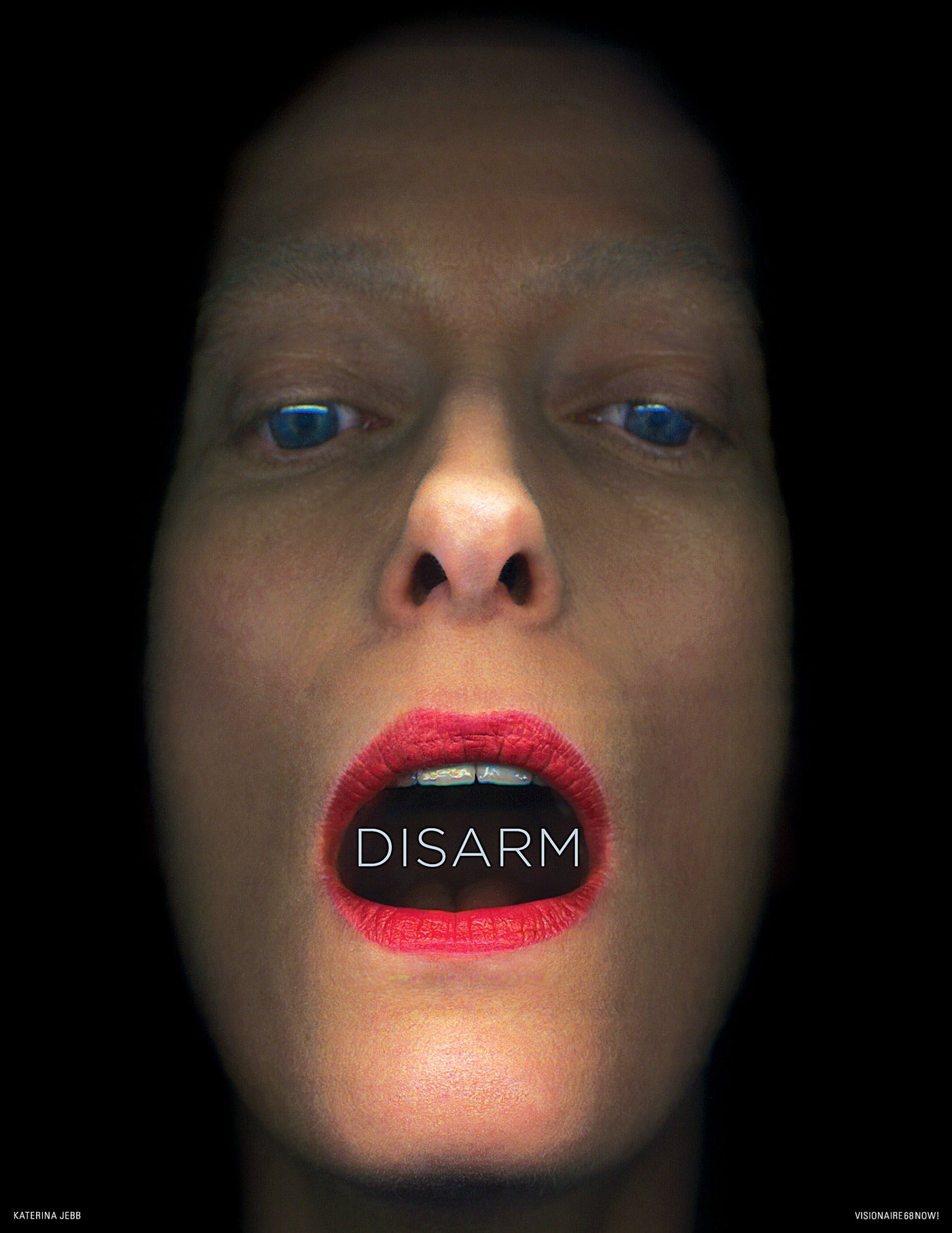 Visionaire 68 Now Issue Protest Posters