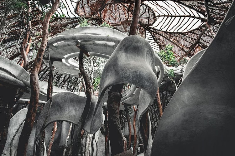 Alien-Like Arts Complex Emerges in the Mexican Jungle