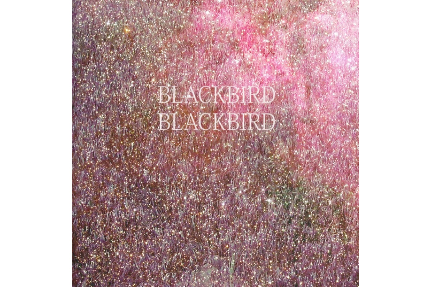 Blackbird Blackbird - Happy High (Brothertiger Remix)