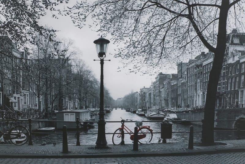 This Seemingly Average IKEA Photo Has a Deep, Dark Story Behind It