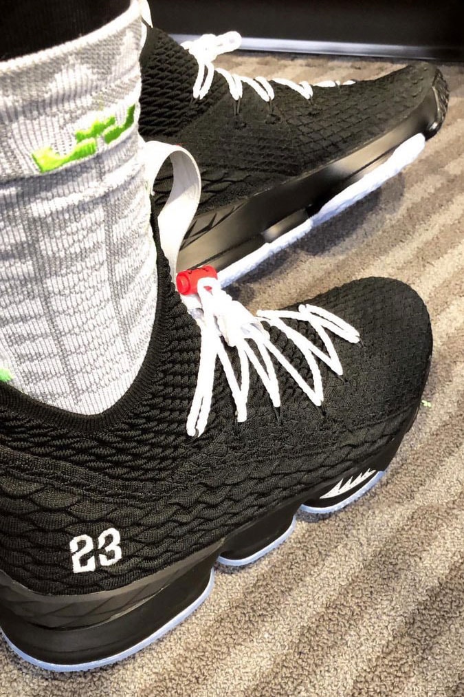 LeBron James Air Jordan 5 Nike LeBron 15 PE Brand NBA Basketball