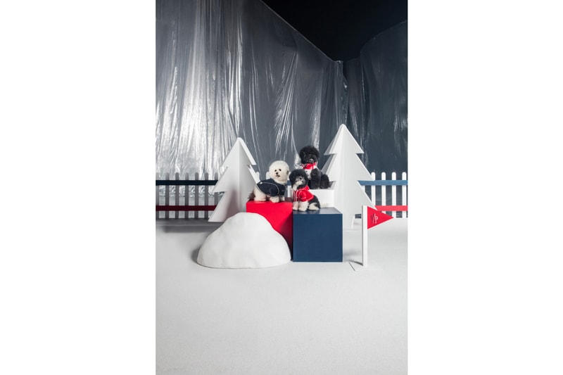 Moncler x Poldo Dog Couture FW18 Collection lookbook christmas 