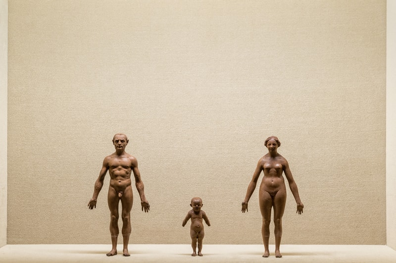 wes anderson kunsthistoriches museum austria artworks exhibitions art artists museum shows