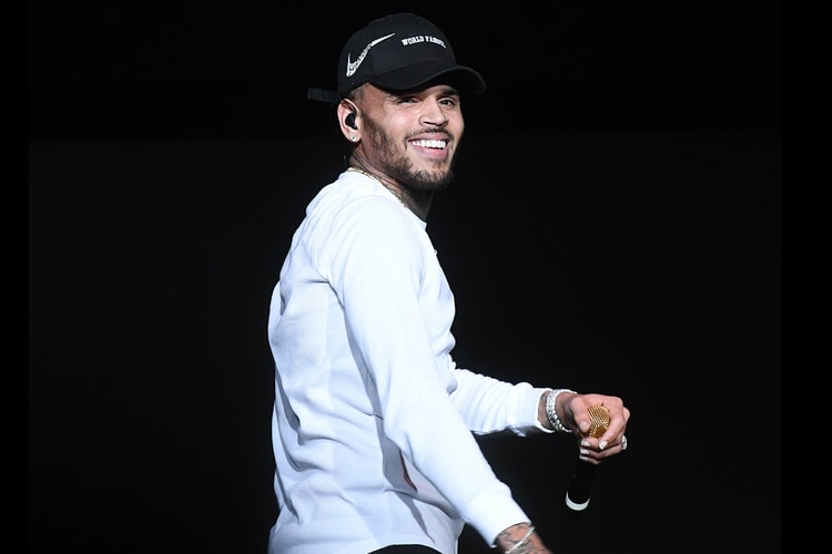 Chris Brown Faces Charges Over a Pet Monkey