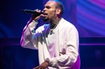 Chris Brown Faces Charges Over a Pet Monkey