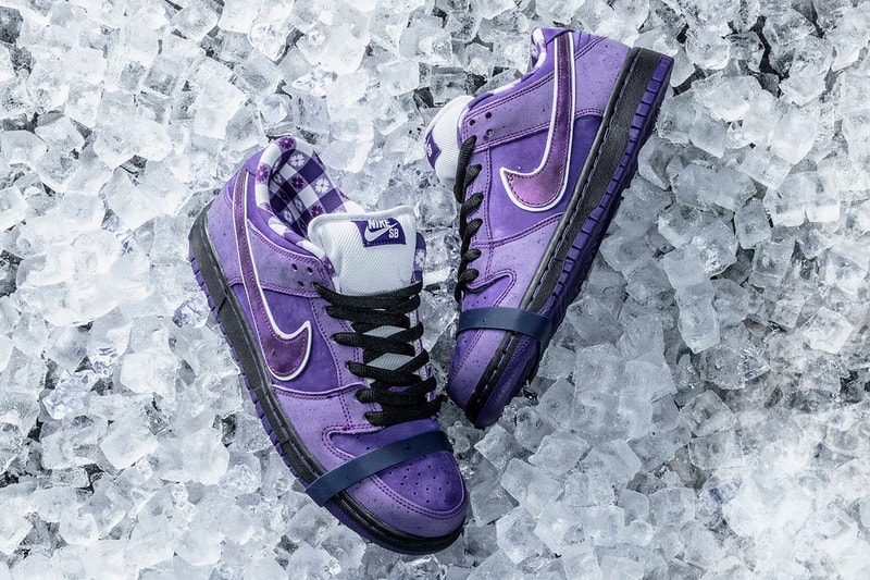 Concepts Nike SB Dunk Low Purple Lobster Closer Look Cop Purchase Buy Release Date Details Coming Soon Available Sneakers Shoes Trainers Kicks Footwear image photo rubber band laces