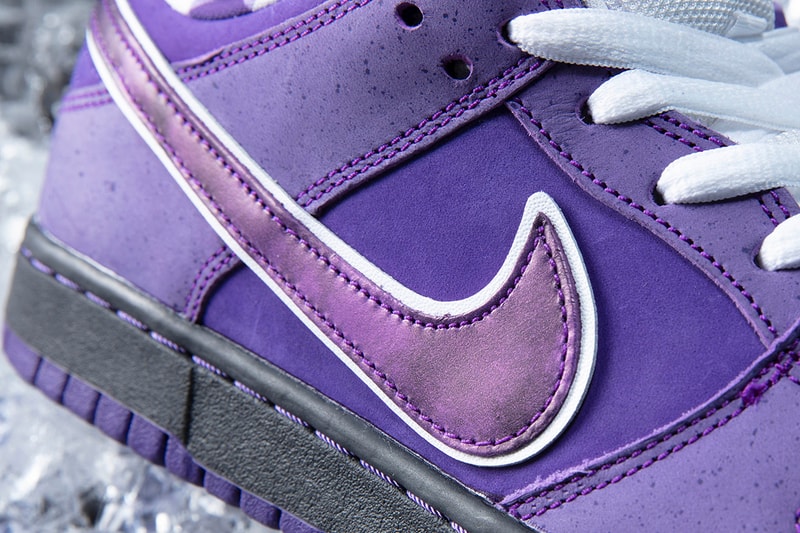 Concepts Nike SB Dunk Low Purple Lobster Closer Look Cop Purchase Buy Release Date Details Coming Soon Available Sneakers Shoes Trainers Kicks Footwear image photo rubber band laces