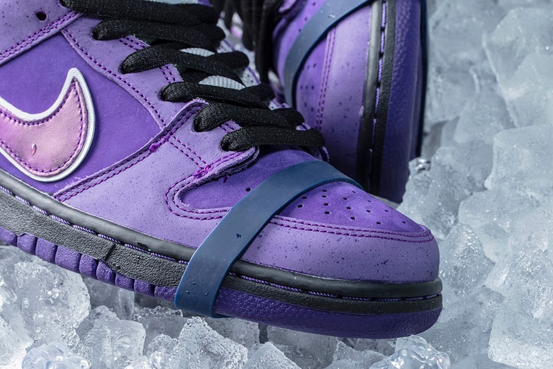 Concepts Nike SB Dunk Low Purple Lobster Closer Look Cop Purchase Buy Release Date Details Coming Soon Available Sneakers Shoes Trainers Kicks Footwear image photo rubber band laces