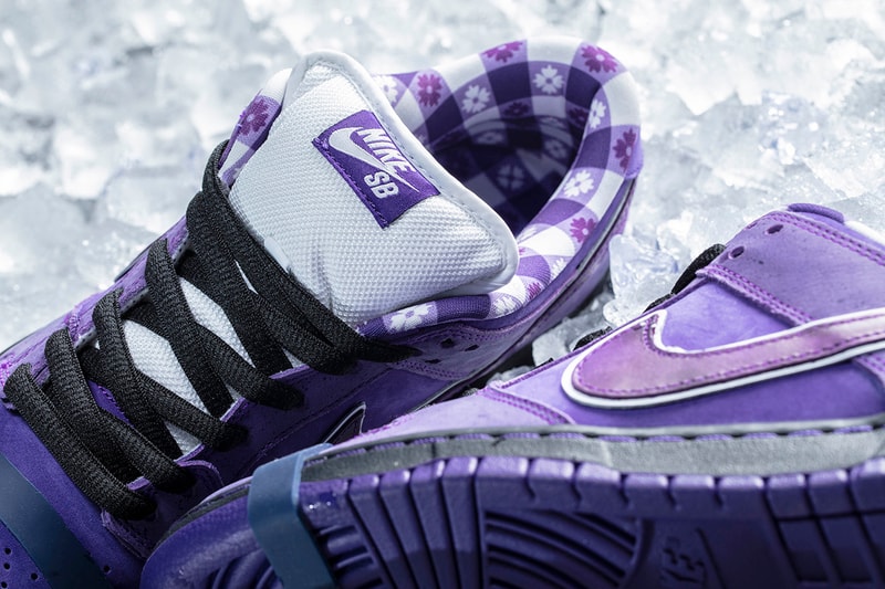 Concepts Nike SB Dunk Low Purple Lobster Closer Look Cop Purchase Buy Release Date Details Coming Soon Available Sneakers Shoes Trainers Kicks Footwear image photo rubber band laces