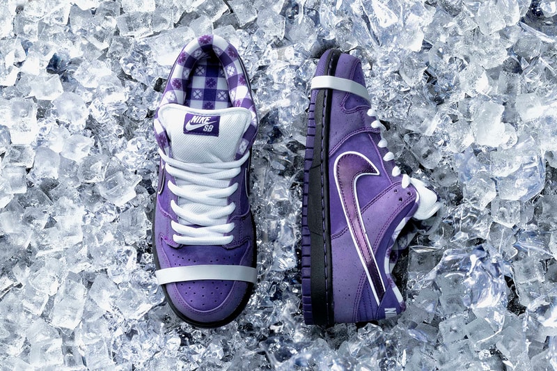 Concepts Nike SB Dunk Low Purple Lobster Closer Look Cop Purchase Buy Release Date Details Coming Soon Available Sneakers Shoes Trainers Kicks Footwear image photo rubber band laces