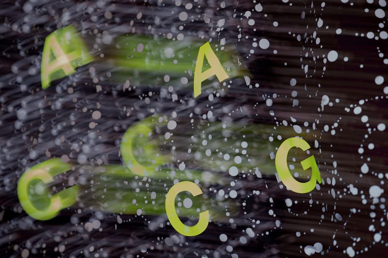 Haven Nike ACG Collection Lookbook Errolson Hugh Techwear Outerwear Jackets Canada Gore-tex Rain Snow