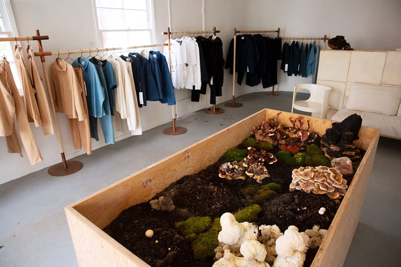 Look Inside Olderbrother's Mushroom-Infested California Store