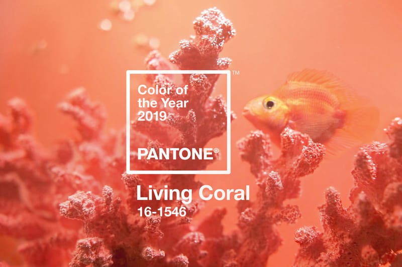 Pantone Announces 2019 Color of the Year