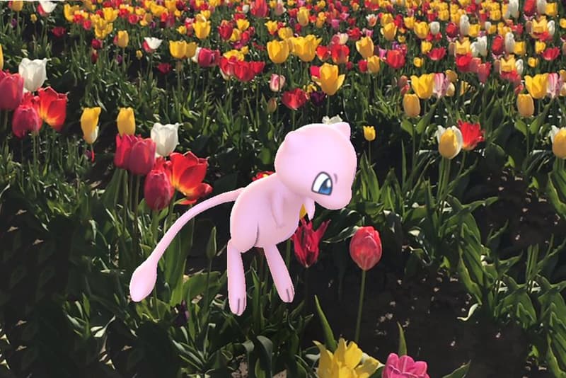 Niantic Pokemon Go Augmented Reality AR twitter 2018 best photos pictures