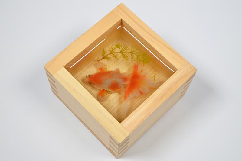 riusuke fukahori goldfish blossoms artworks art artist