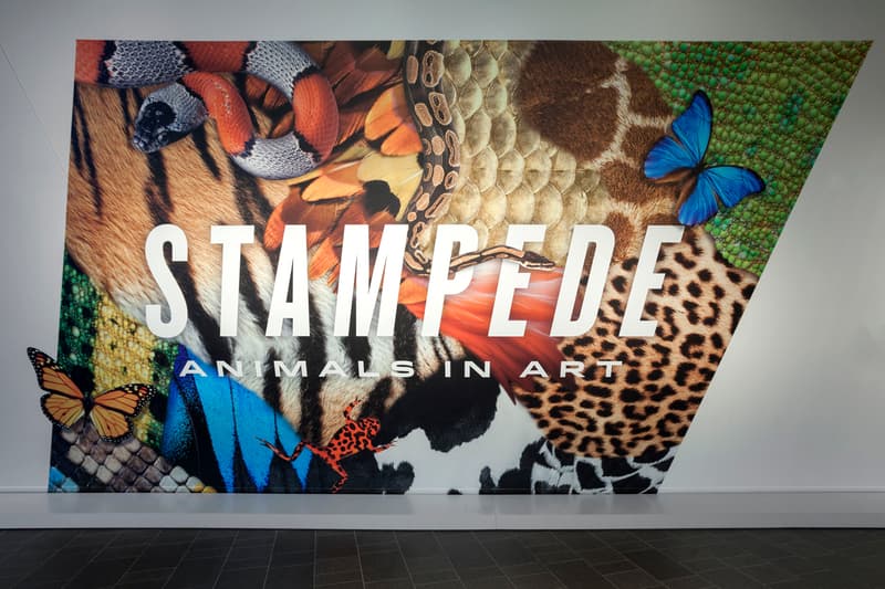 denver art museum stampede animal in art teenager destroyed artworks sculptures