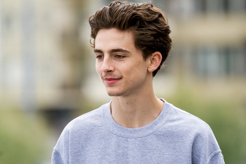 Timothée Chalamet Cast in Wes Anderson's Next Film