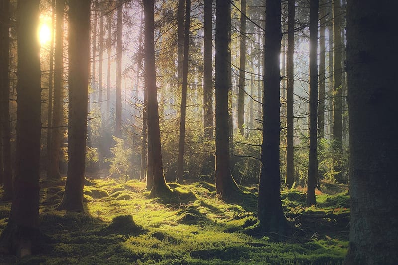 Apple Will Now Pay Licensing Fee to #ShotOniPhone Contest Winners Following Backlash