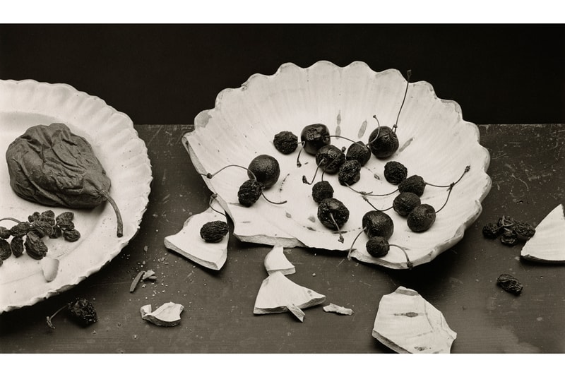 pace hong kong irving penn exhibition artworks photographs paintings