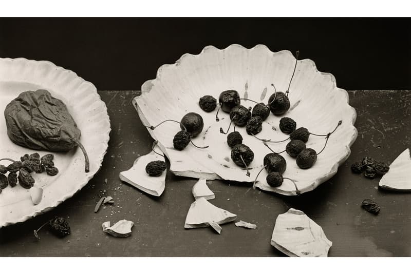 pace hong kong irving penn exhibition artworks photographs paintings