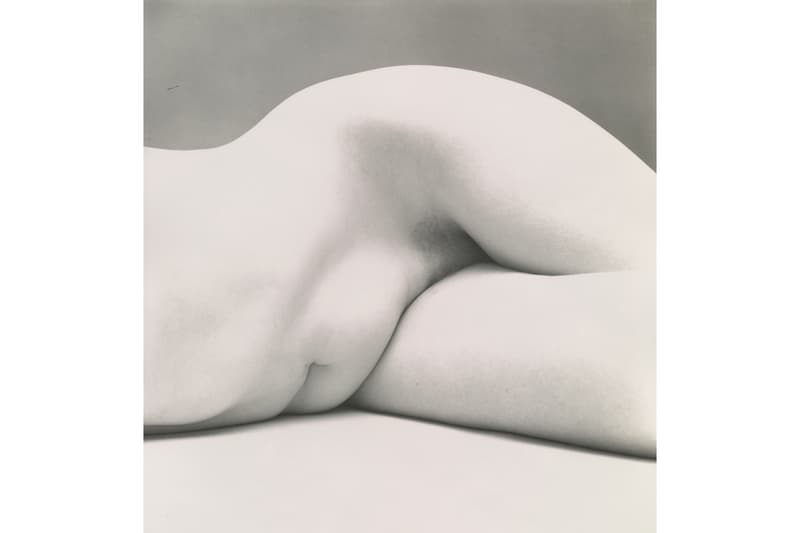 pace hong kong irving penn exhibition artworks photographs paintings