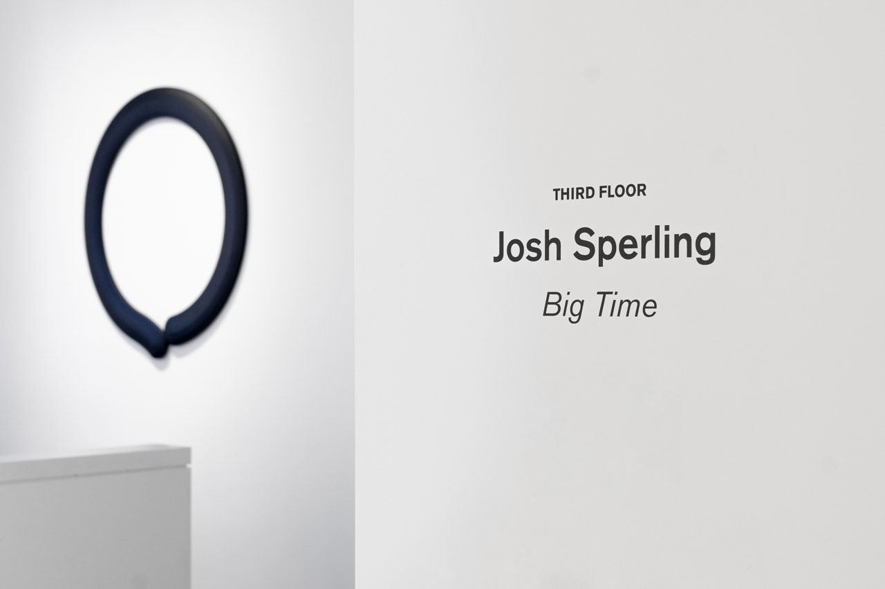 josh sperling big time exhibition galerie perrotin new york city artworks paintings sculptures 