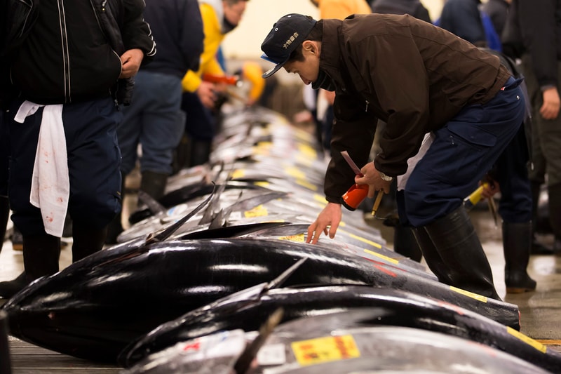 Tsukiji Fish Market Record Tuna Auction Price Japan Tokyo seafood 