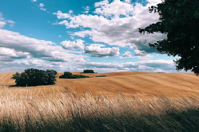 Apple Shot on iPhone Challenge Winners Worlds Best Photos Photography Camera