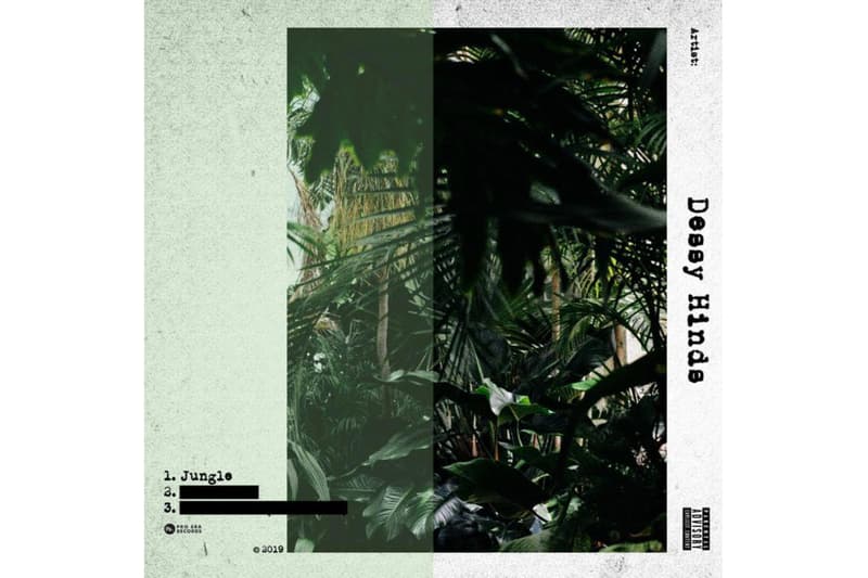 Dessy Hinds Drops Tracks "Jungle" & "Loose Ones" pro era new york rap hip-hop breakbeat