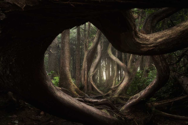 international landscape photographer of the year 2019 winners