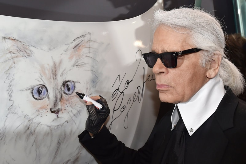 Karl Lagerfeld's Cat Choupette Could Be the 'Heiress' of His $200 Million Wealth images instagram info fashion chanel fendi 