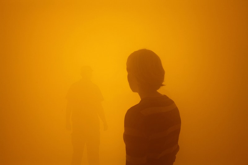 Olafur Eliasson Tate Modern Fog Exhibition Arken Museum of Modern Art Copenhagen Art Sustainability Moss Wall Stardust Particle Dates Tickets