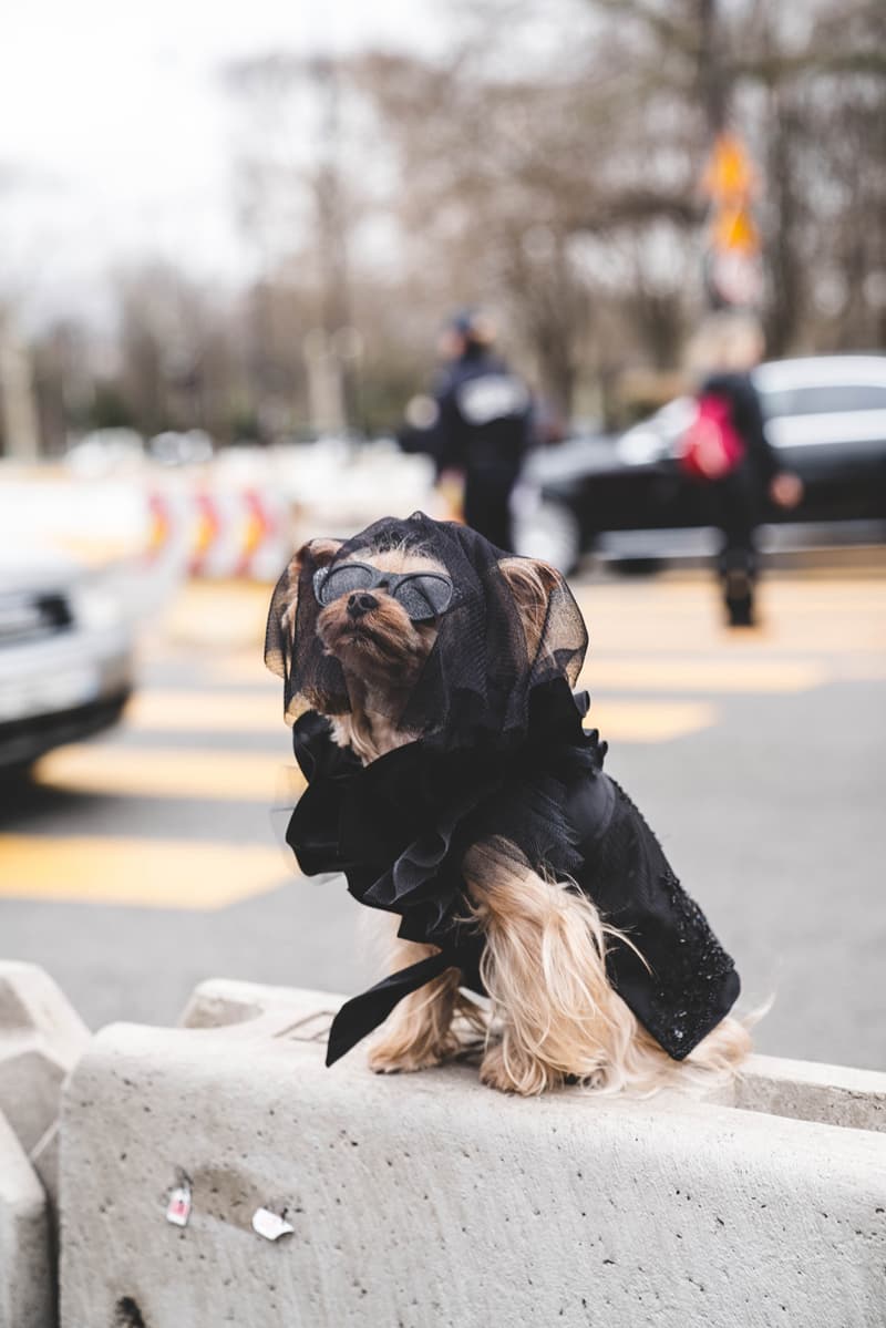 Chanel FW19 Paris Fashion Week Street Style runway collection fall winter 2019 karl lagerfeld guest attendee pfw 