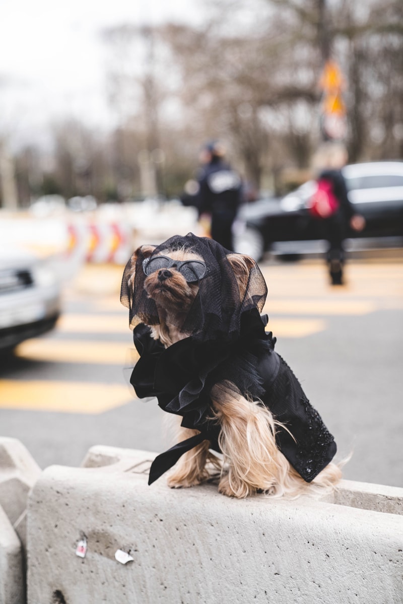 Chanel FW19 Paris Fashion Week Street Style runway collection fall winter 2019 karl lagerfeld guest attendee pfw