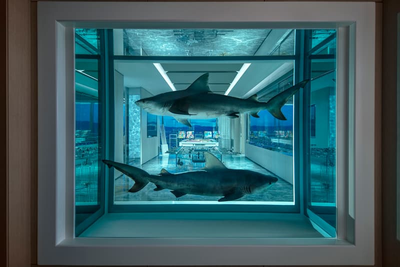damien hirst empathy suite palms casino resort