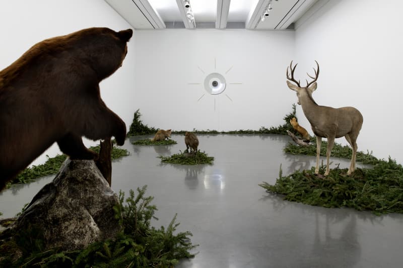 Gabriel Rico The Discipline of the Cave Exhibition Inside Look Aspen Art Museum