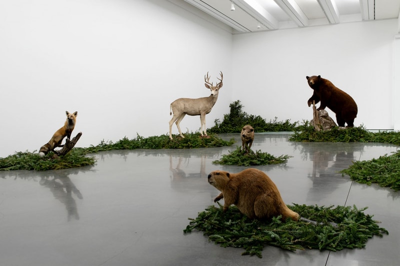 Gabriel Rico The Discipline of the Cave Exhibition Inside Look Aspen Art Museum