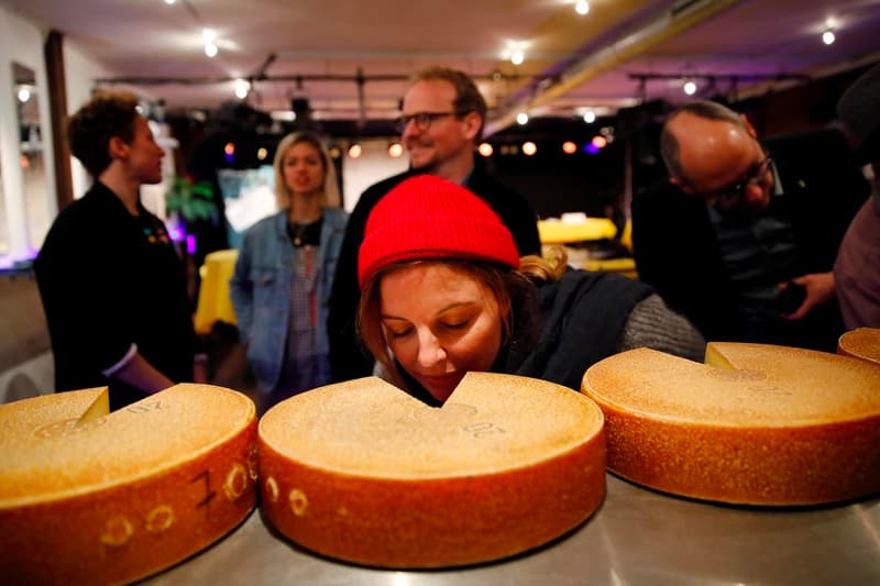 Researchers Played Various Music to Aging Swiss Cheese Reuters a tribe called quest led zeppelin mozart hip hop hip-hop Bern University of Arts Swiss researchers experiment science