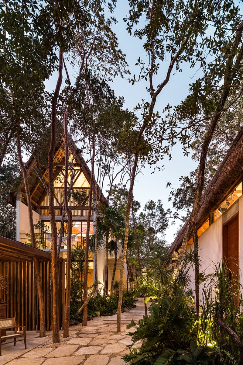 jungle keva hotel jaquestudio tulum mexico tree trees preserve preservation nature village natural