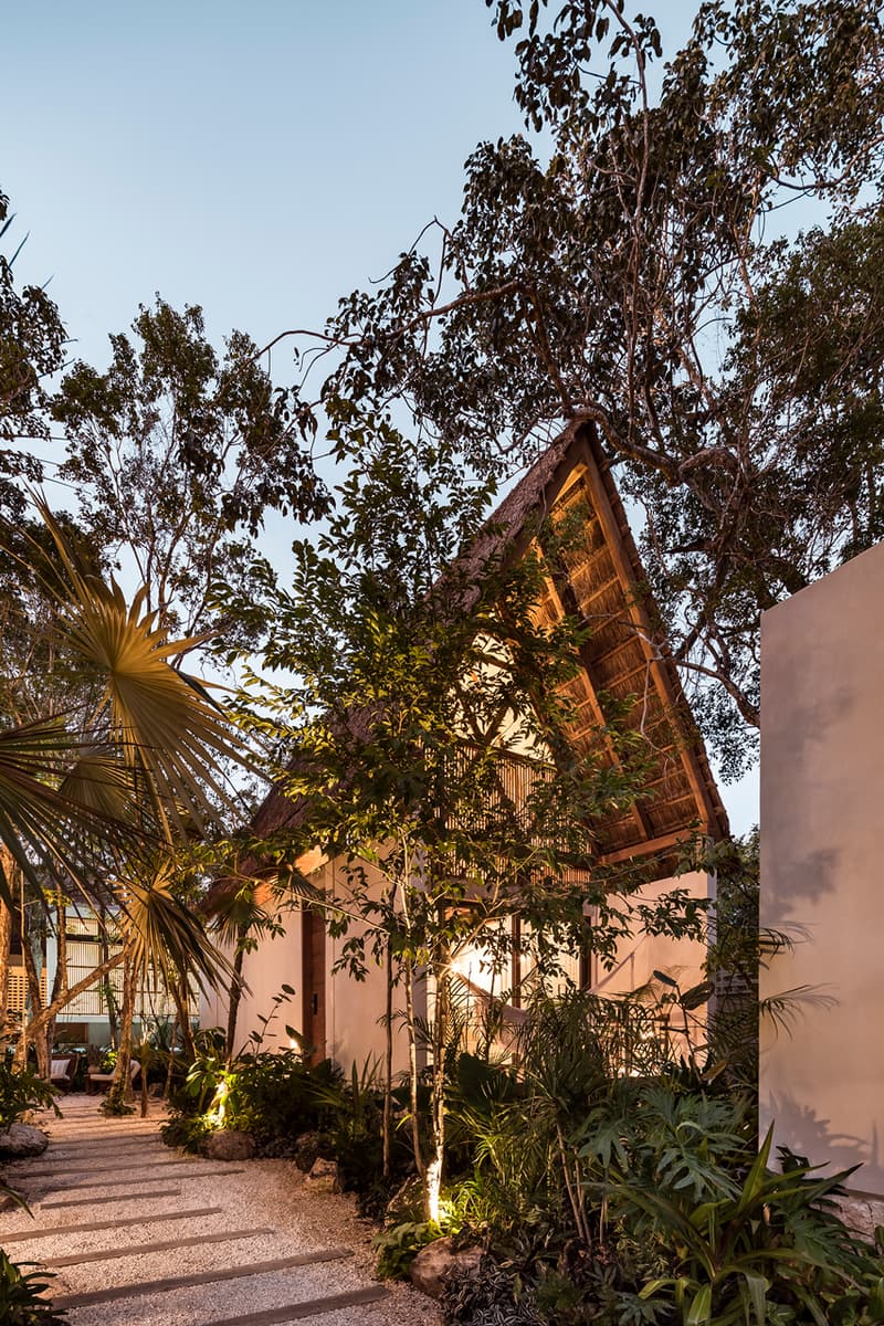 jungle keva hotel jaquestudio tulum mexico tree trees preserve preservation nature village natural