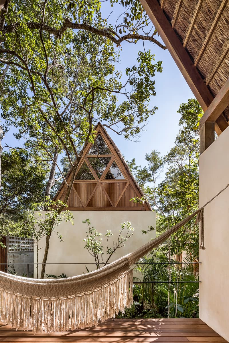 jungle keva hotel jaquestudio tulum mexico tree trees preserve preservation nature village natural