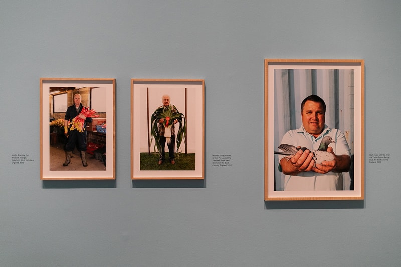 Martin Parr: Only Human London Exhibit Exhibition Gallery Galleries Inside Closer Look British Documentary Photographer Supported Sponsored by Gucci National Portrait Gallery, St Martin’s Place, London, WC2H 0HE Brexit