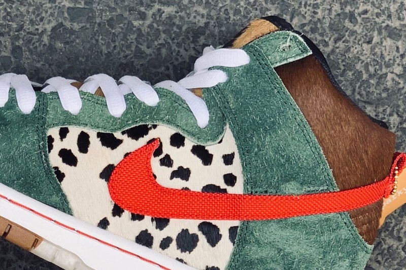 Nike SB 420 Dog Walker Colorway Teaser